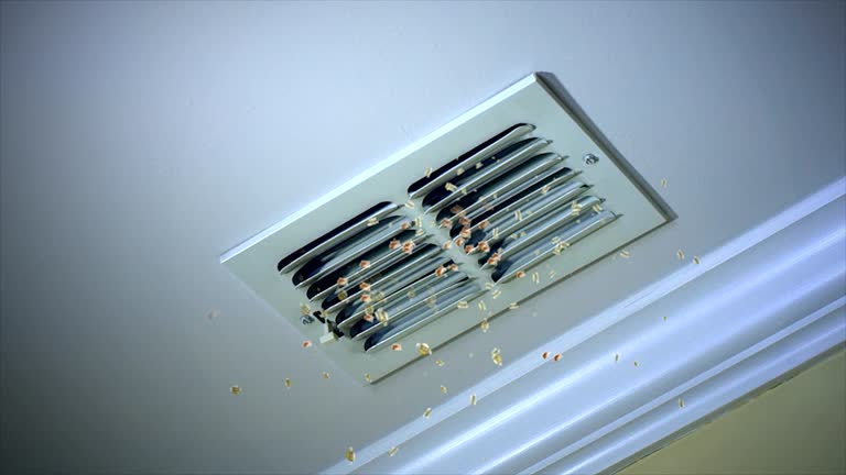 Best Local Air Duct Cleaning Services  in , AK