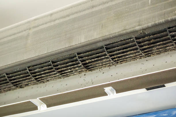 Best Professional Duct Cleaning Services  in , AK